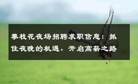 攀枝花夜场招聘求职信息：抓住夜晚的机遇，开启高薪之路