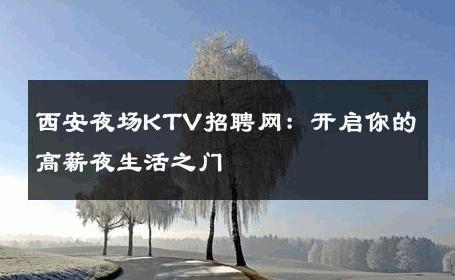 西安夜场KTV招聘网：开启你的高薪夜生活之门