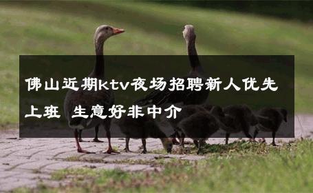佛山近期ktv夜场招聘新人优先上班 生意好非中介