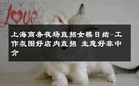 上海商务夜场直招女模日结-工作氛围好店内直招 生意好非中介