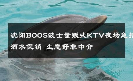 沈阳BOOS波士量贩式KTV夜场急招酒水促销 生意好非中介