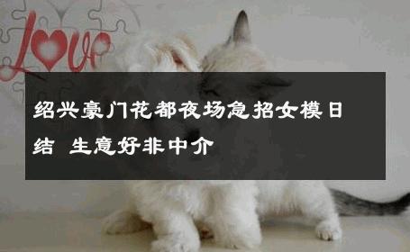 绍兴豪门花都夜场急招女模日结 生意好非中介