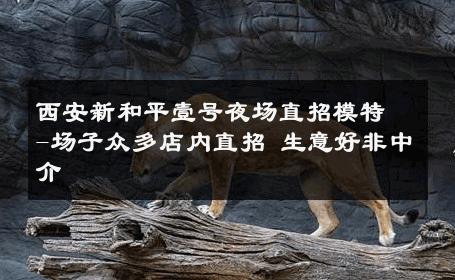 西安新和平壹号夜场直招模特-场子众多店内直招 生意好非中介