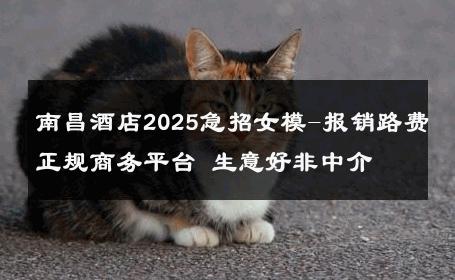 南昌酒店2025急招女模-报销路费正规商务平台 生意好非中介