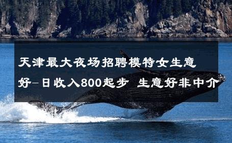天津最大夜场招聘模特女生意好-日收入800起步 生意好非中介