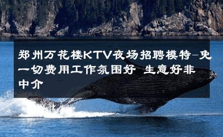 郑州万花楼KTV夜场招聘模特-免一切费用工作氛围好 生意好非中介