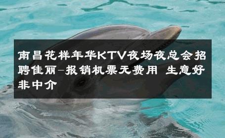 南昌花样年华KTV夜场夜总会招聘佳丽-报销机票无费用 生意好非中介