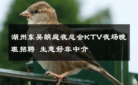 湖州东吴朗庭夜总会KTV夜场晚班招聘 生意好非中介