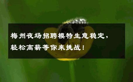 梅州夜场招聘模特生意稳定，轻松高薪等你来挑战！