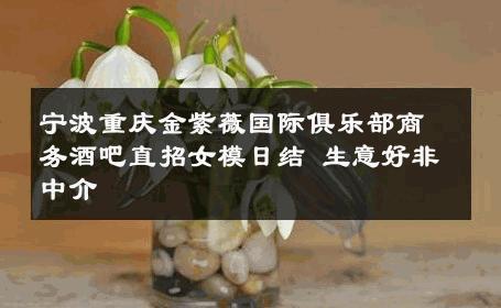 宁波重庆金紫薇国际俱乐部商务酒吧直招女模日结 生意好非中介