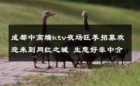 成都中高端ktv夜场旺季招募欢迎来到网红之城 生意好非中介