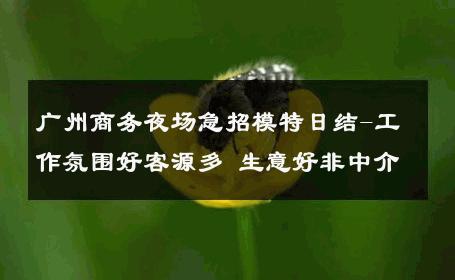 广州商务夜场急招模特日结-工作氛围好客源多 生意好非中介