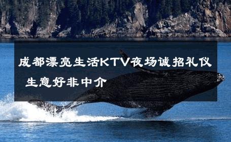 成都漂亮生活KTV夜场诚招礼仪 生意好非中介