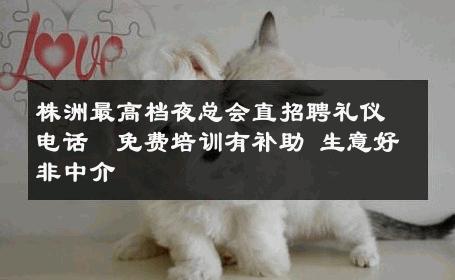 株洲最高档夜总会直招聘礼仪电话↘免费培训有补助 生意好非中介