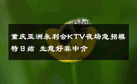 重庆亚洲永利会KTV夜场急招模特日结 生意好非中介