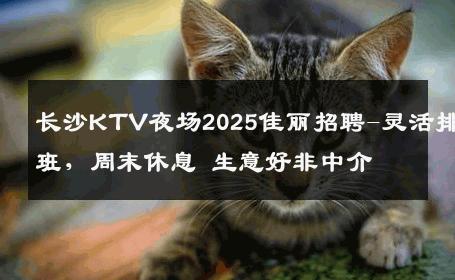 长沙KTV夜场2025佳丽招聘-灵活排班，周末休息 生意好非中介