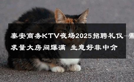 泰安商务KTV夜场2025招聘礼仪-需求量大房间爆满 生意好非中介