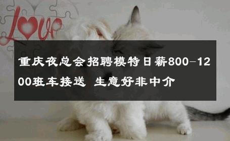 重庆夜总会招聘模特日薪800-1200班车接送 生意好非中介