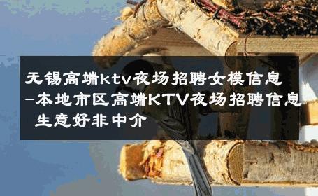 无锡高端ktv夜场招聘女模信息-本地市区高端KTV夜场招聘信息 生意好非中介