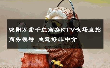 沈阳万紫千红商务KTV夜场直招商务模特 生意好非中介