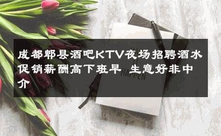 成都郫县酒吧KTV夜场招聘酒水促销薪酬高下班早 生意好非中介