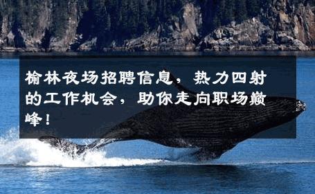 榆林夜场招聘信息，热力四射的工作机会，助你走向职场巅峰！