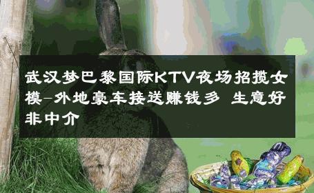 武汉梦巴黎国际KTV夜场招揽女模-外地豪车接送赚钱多 生意好非中介