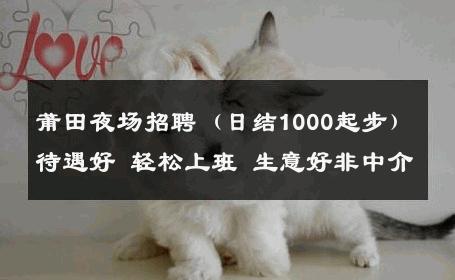莆田夜场招聘（日结1000起步）待遇好 轻松上班 生意好非中介