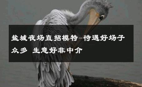 盐城夜场直招模特-待遇好场子众多 生意好非中介