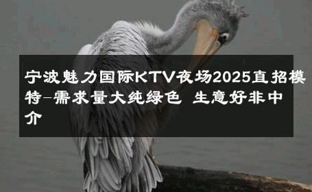 宁波魅力国际KTV夜场2025直招模特-需求量大纯绿色 生意好非中介