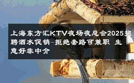 上海东方汇KTV夜场夜总会2025招聘酒水促销-拒绝套路可兼职 生意好非中介