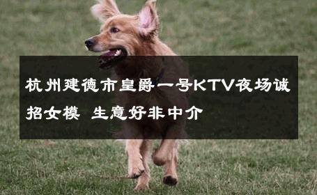 杭州建德市皇爵一号KTV夜场诚招女模 生意好非中介