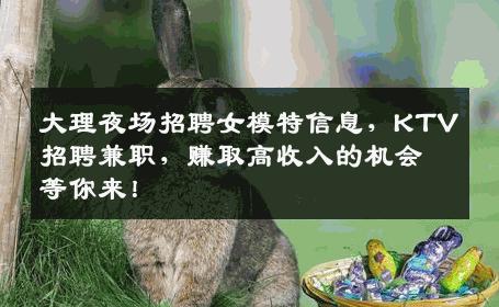 大理夜场招聘女模特信息，KTV招聘兼职，赚取高收入的机会等你来！