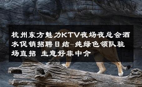 杭州东方魅力KTV夜场夜总会酒水促销招聘日结-纯绿色领队驻场直招 生意好非中介