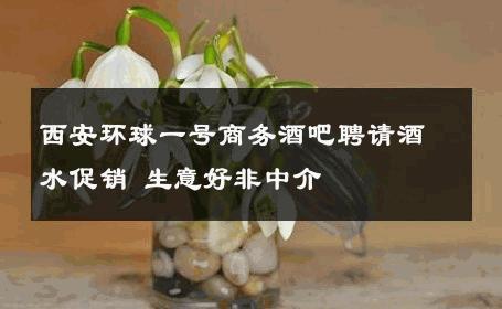 西安环球一号商务酒吧聘请酒水促销 生意好非中介