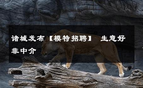 诸城发布【模特招聘】 生意好非中介