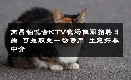 南昌铂悦会KTV夜场佳丽招聘日结-可兼职免一切费用 生意好非中介