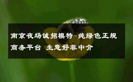 南京夜场诚招模特-纯绿色正规商务平台 生意好非中介