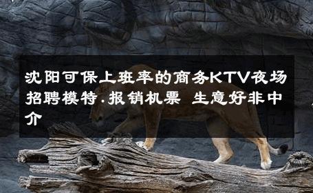 沈阳可保上班率的商务KTV夜场招聘模特.报销机票 生意好非中介