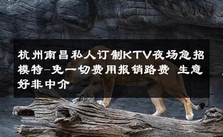 杭州南昌私人订制KTV夜场急招模特-免一切费用报销路费 生意好非中介