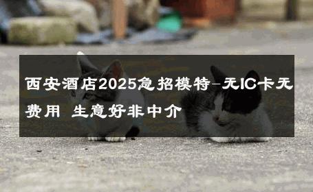 西安酒店2025急招模特-无IC卡无费用 生意好非中介