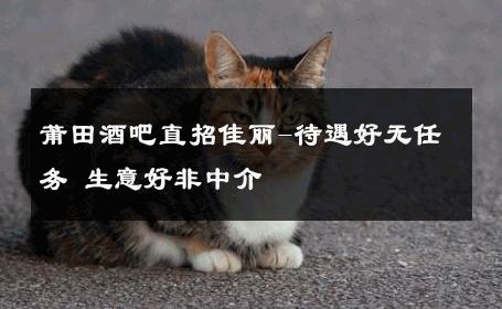 莆田酒吧直招佳丽-待遇好无任务 生意好非中介