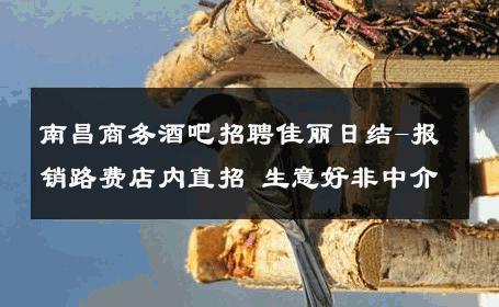南昌商务酒吧招聘佳丽日结-报销路费店内直招 生意好非中介