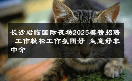 长沙君临国际夜场2025模特招聘-工作轻松工作氛围好 生意好非中介