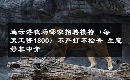 连云港夜场哪家招聘模特（每天工资1800）不严打不检查 生意好非中介