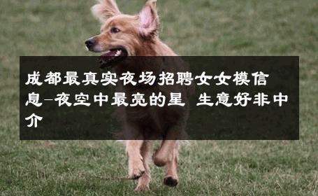 成都最真实夜场招聘女女模信息-夜空中最亮的星 生意好非中介