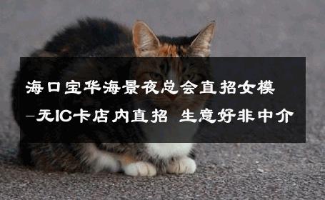 海口宝华海景夜总会直招女模-无IC卡店内直招 生意好非中介