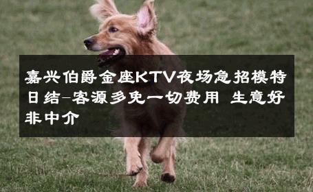 嘉兴伯爵金座KTV夜场急招模特日结-客源多免一切费用 生意好非中介