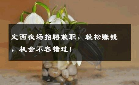 定西夜场招聘兼职，轻松赚钱，机会不容错过！