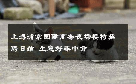 上海浦京国际商务夜场模特招聘日结 生意好非中介